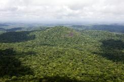 Amazonie: face à la déforestation, le cri d'alarme des Guarani-Kaiowá